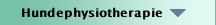 Hundephysiotherapie 